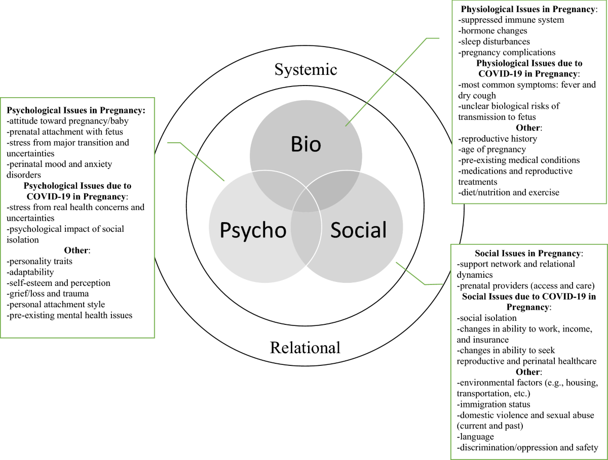 Impact of COVID-19 on the Perinatal Period Through a Biopsychosocial  Systemic Framework | Contemporary Family Therapy