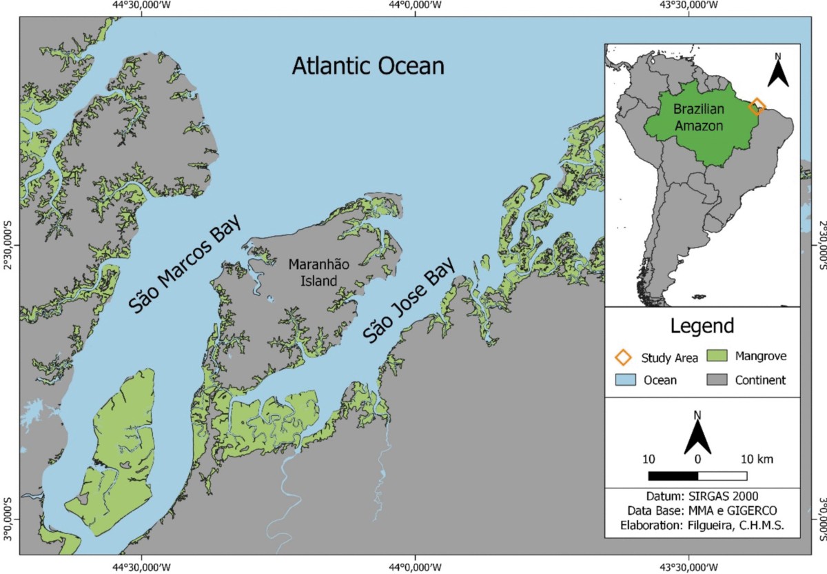 An enteric microbiota assessment in sharks and rays from the Brazilian Amazon Coast | Environmental Biology of Fishes