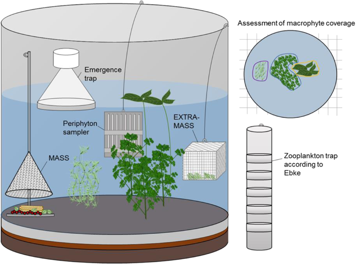 Characterization of patterns and variability in the dynamics of outdoor  aquatic mesocosms: exploring the capabilities and challenges in data  supporting aquatic system models | Ecotoxicology