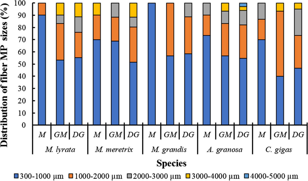 Potential microplastic release from beached fishing gear in Great