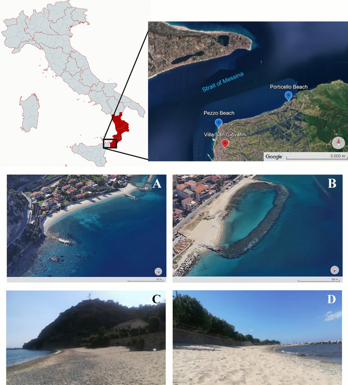 Microparticles of anthropogenic origin (microplastics and microfibers) in  sandy sediments: A case study from calabria, italy | Environmental  Monitoring and Assessment, image size:1200x1328