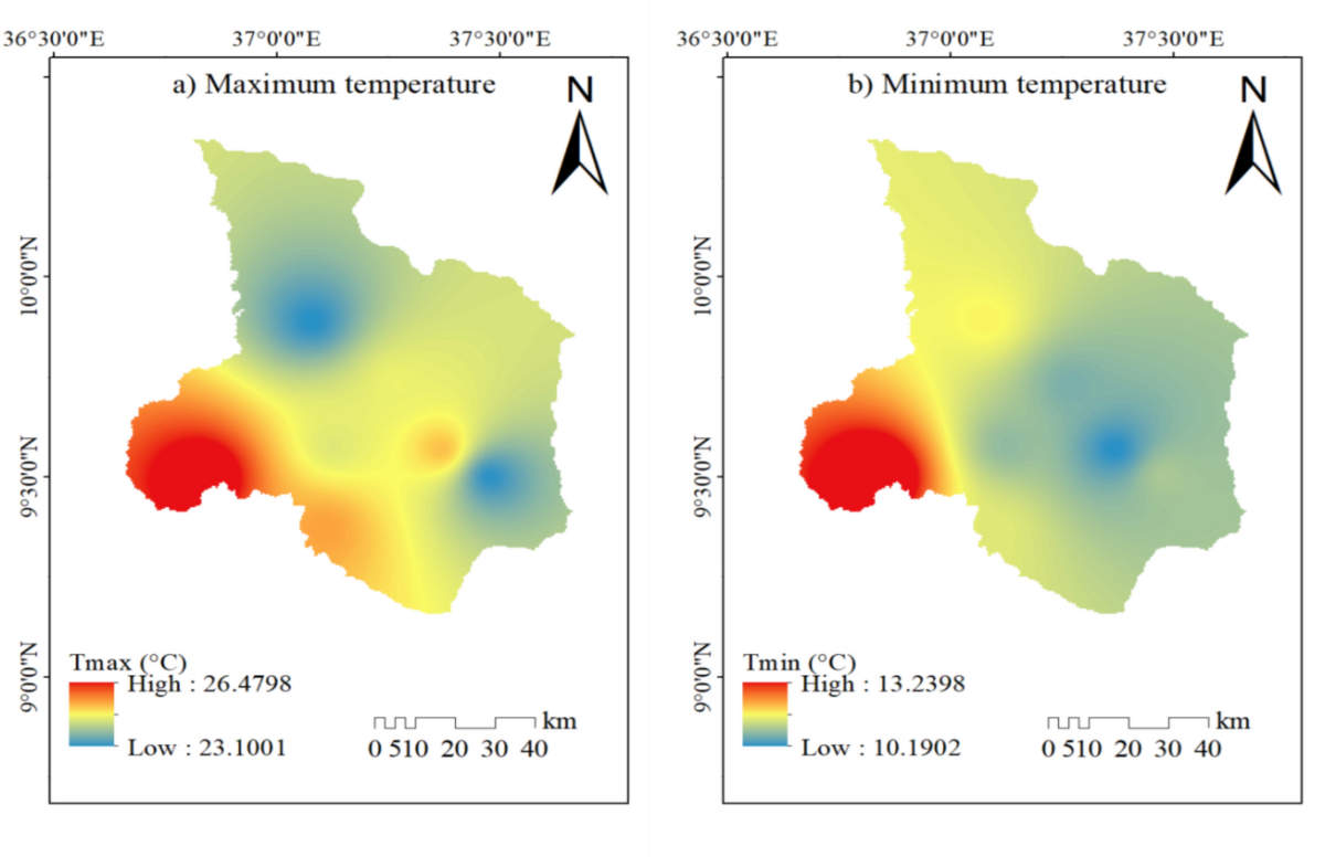 Cabbages available at Mahlanya. E13.00 PER HEAD. Call 7831 4765, image size:1200x776