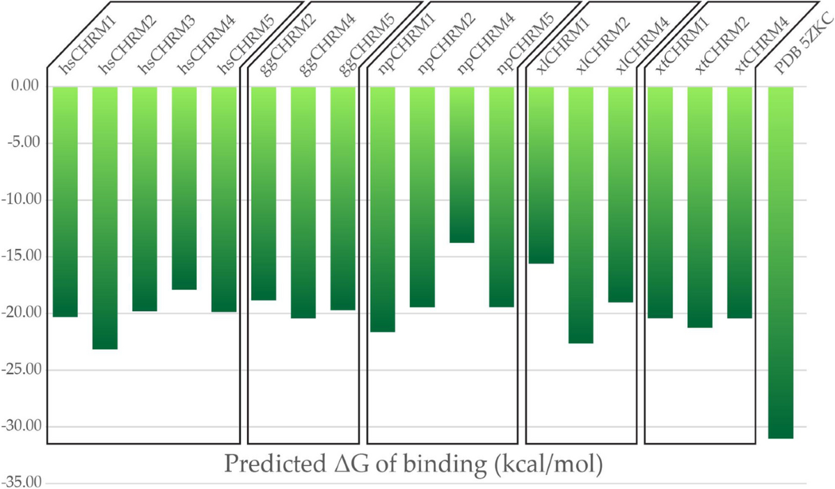 Sustainable Aquaculture – Feeding Africa AQUACULTURE AFRICA 2021 Alexandria  Egypt • March 25 - 28, 2022, image size:1200x703