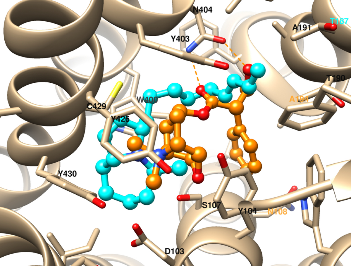The Bartlett Autumn Show Book 2025 by The Bartlett School of Architecture  UCL - Issuu, image size:1200x910
