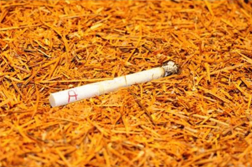 describe tobacco Tobacco