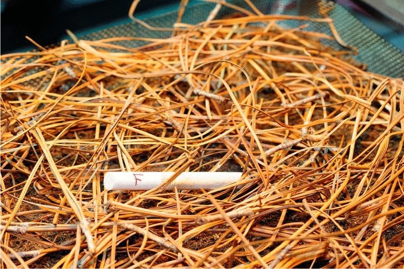Can “Fire Safe” Cigarettes (FSCs) Start Wildfires? | Fire Technology