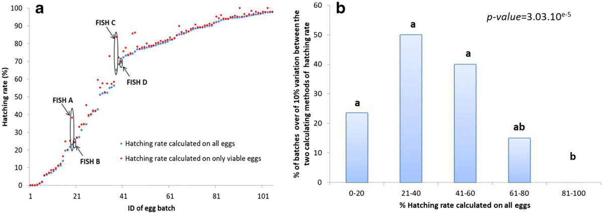 All-female eggs - Viviers de Sarrance