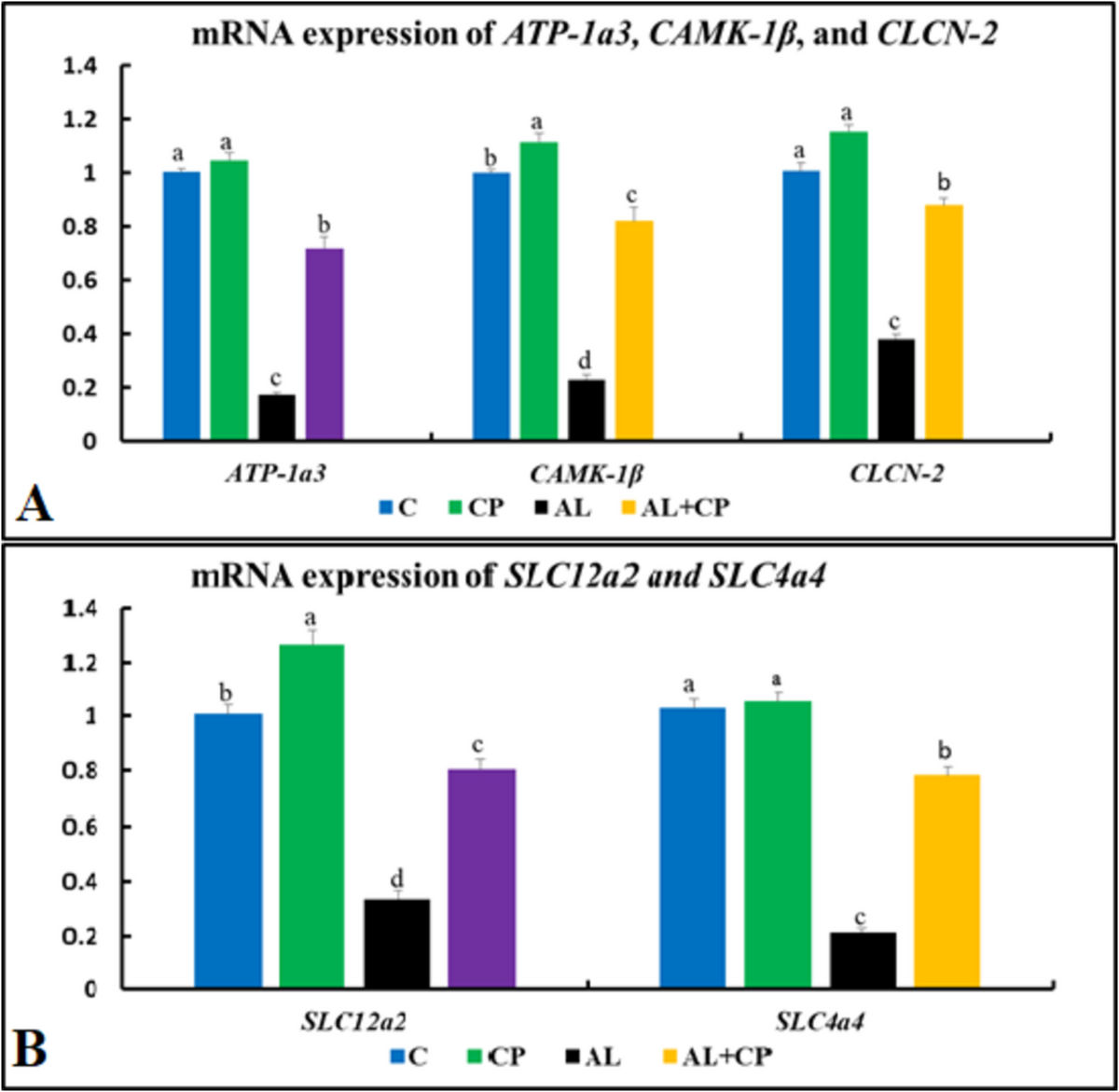 easylite glutathione serum Face at  870 |   in Panchkula Carbonate alkalinity induces stress responses