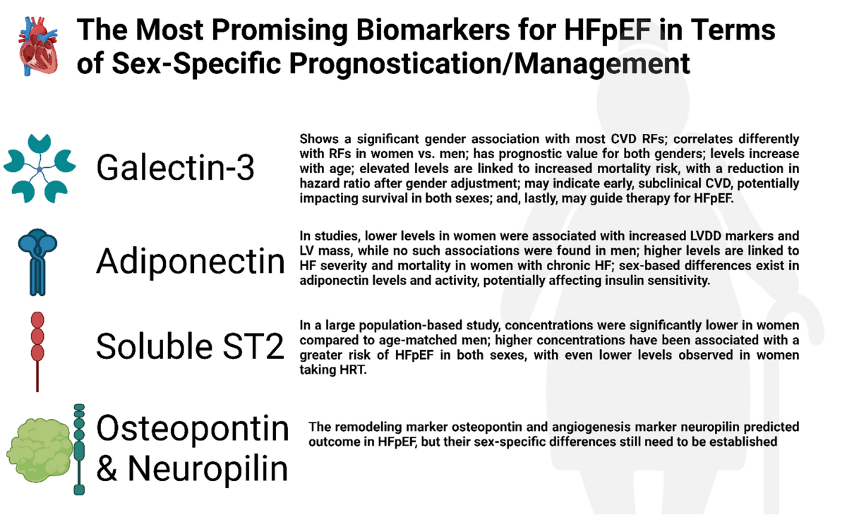 Sex-specific differences in risk factors, comorbidities, diagnostic  challenges, optimal management, and prognostic outcomes of heart failure  with preserved ejection fraction: A comprehensive literature review | Heart  Failure Reviews