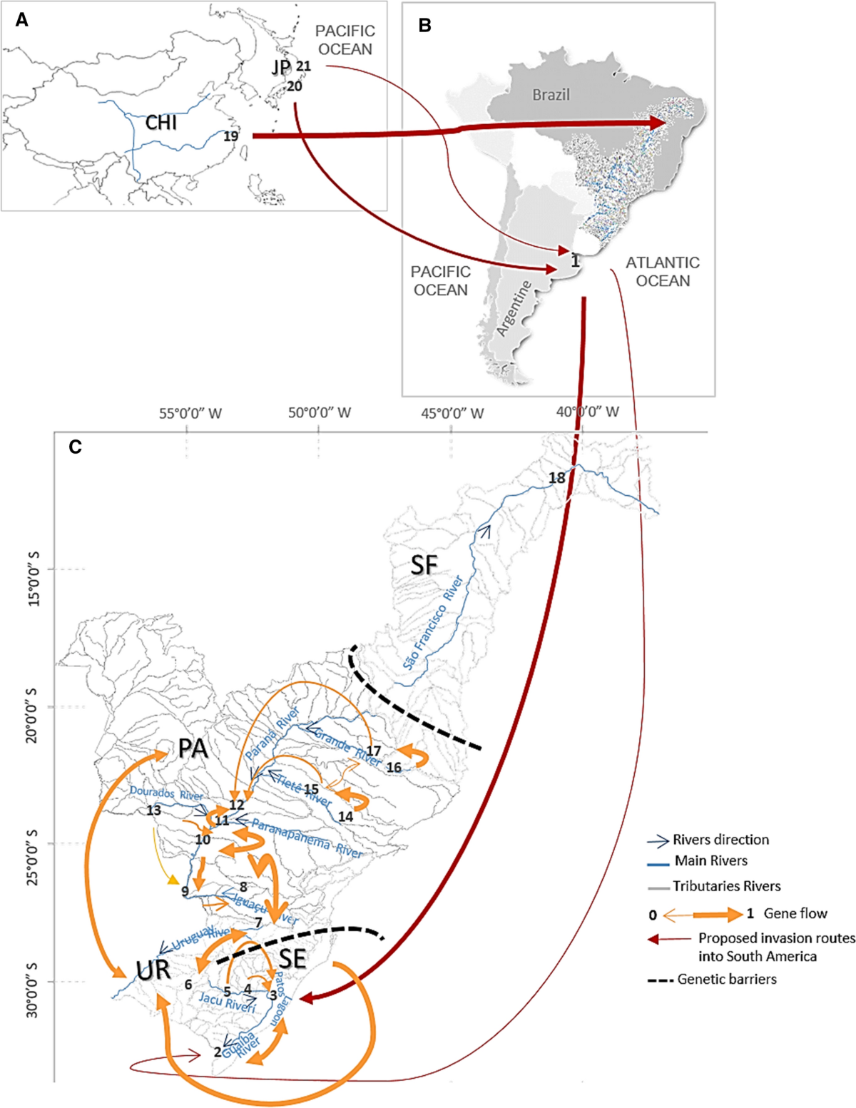 Grátis: B1.Cap. Mollusca Brusca Brusca 2016 - port - Material Claro e  Objetivo em PDF para Estudo Rápido, image size:1200x1553