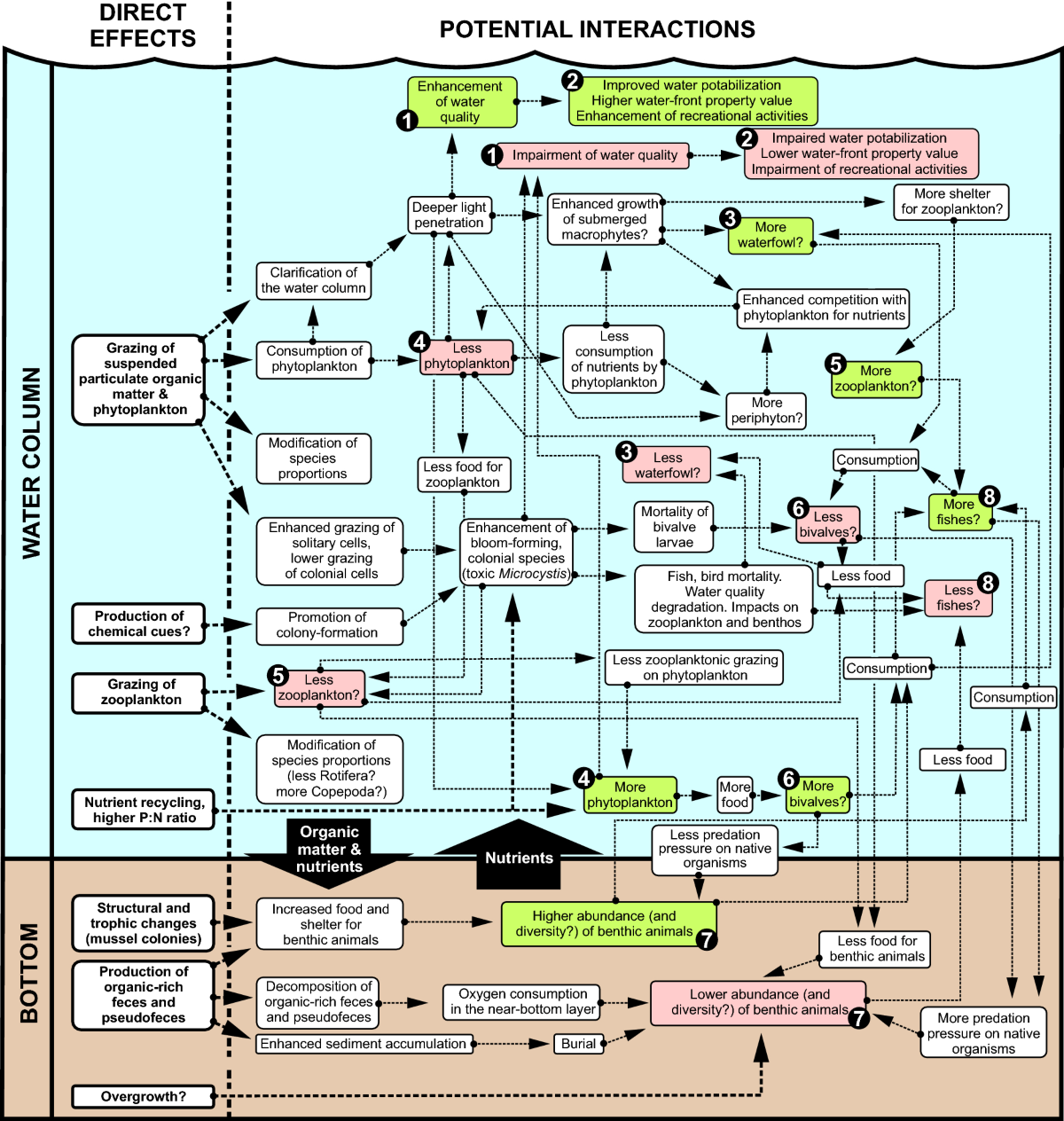 Atividades sobre Cadeia Alimentar e Ecossistemas | PDF | Espécies invasoras  | Espécies introduzidas, image size:1200x1264