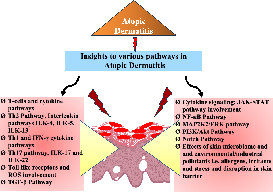 can glutathione cause eczema Unlocking the molecular pathway of atopic dermatitis: journey so far and  roads ahead | Inflammopharmacology