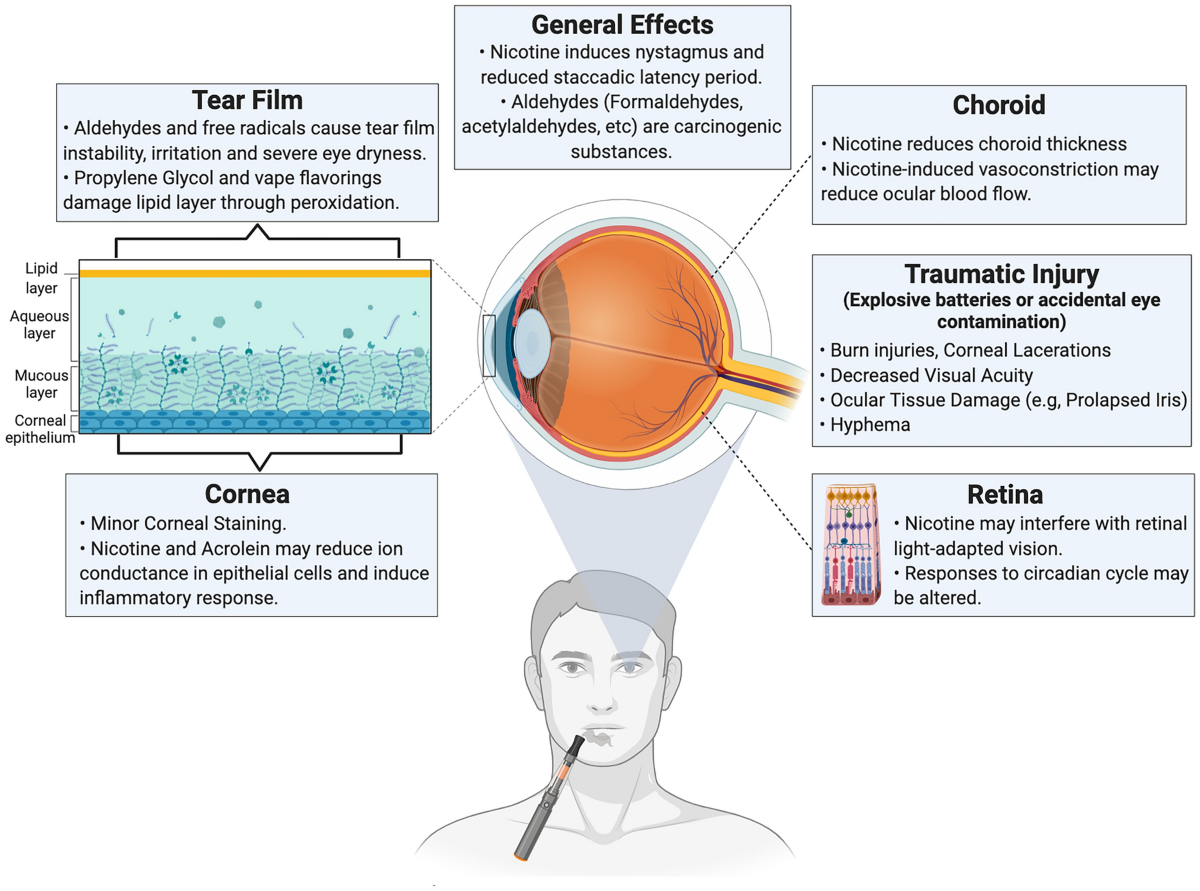 The impact of vaping on ocular health: a literature review | International Ophthalmology | Springer Nature Link The impact of vaping on ocular health: a literature review | International Ophthalmology | Springer Nature Link