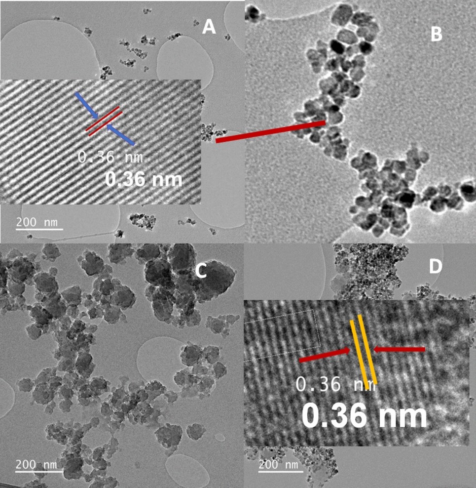 CQD–TiO2 composite as a potential crypto-electrode modifier for  high-performance aptasensing with ultra-low detection limits | Journal of  Applied Electrochemistry | Springer Nature Link