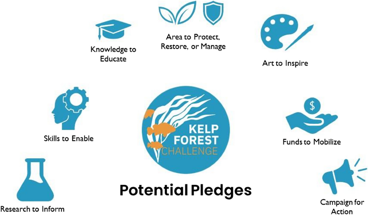 The Kelp Forest ﻿Challenge: A collaborative global movement to protect and  restore 4 million hectares of kelp forests | Journal of Applied Phycology |  Springer Nature Link