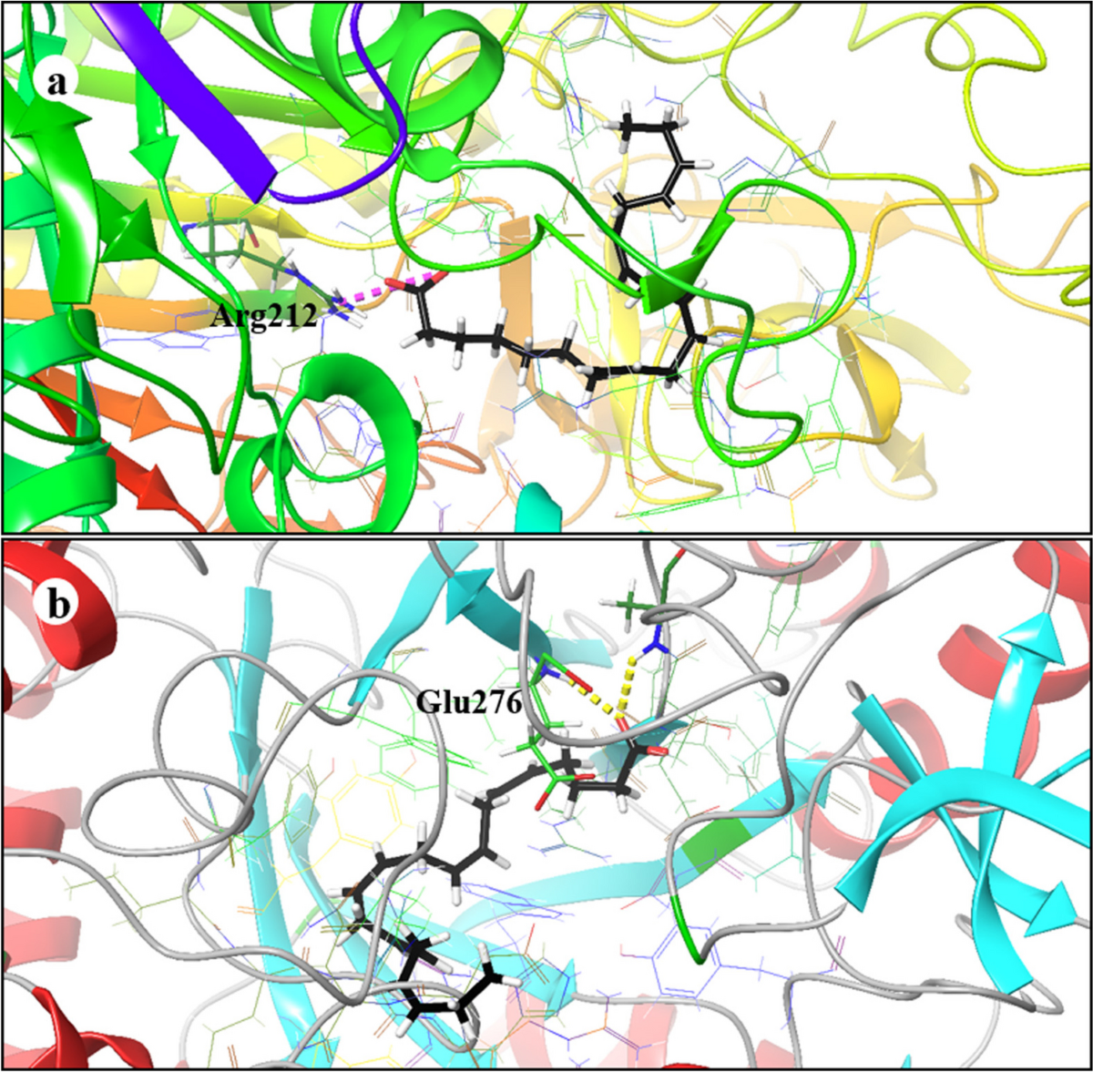 Bioassay-guided purification of α-glucosidase inhibitor fatty acids from  Padina tetrastromatica | Journal of Applied Phycology