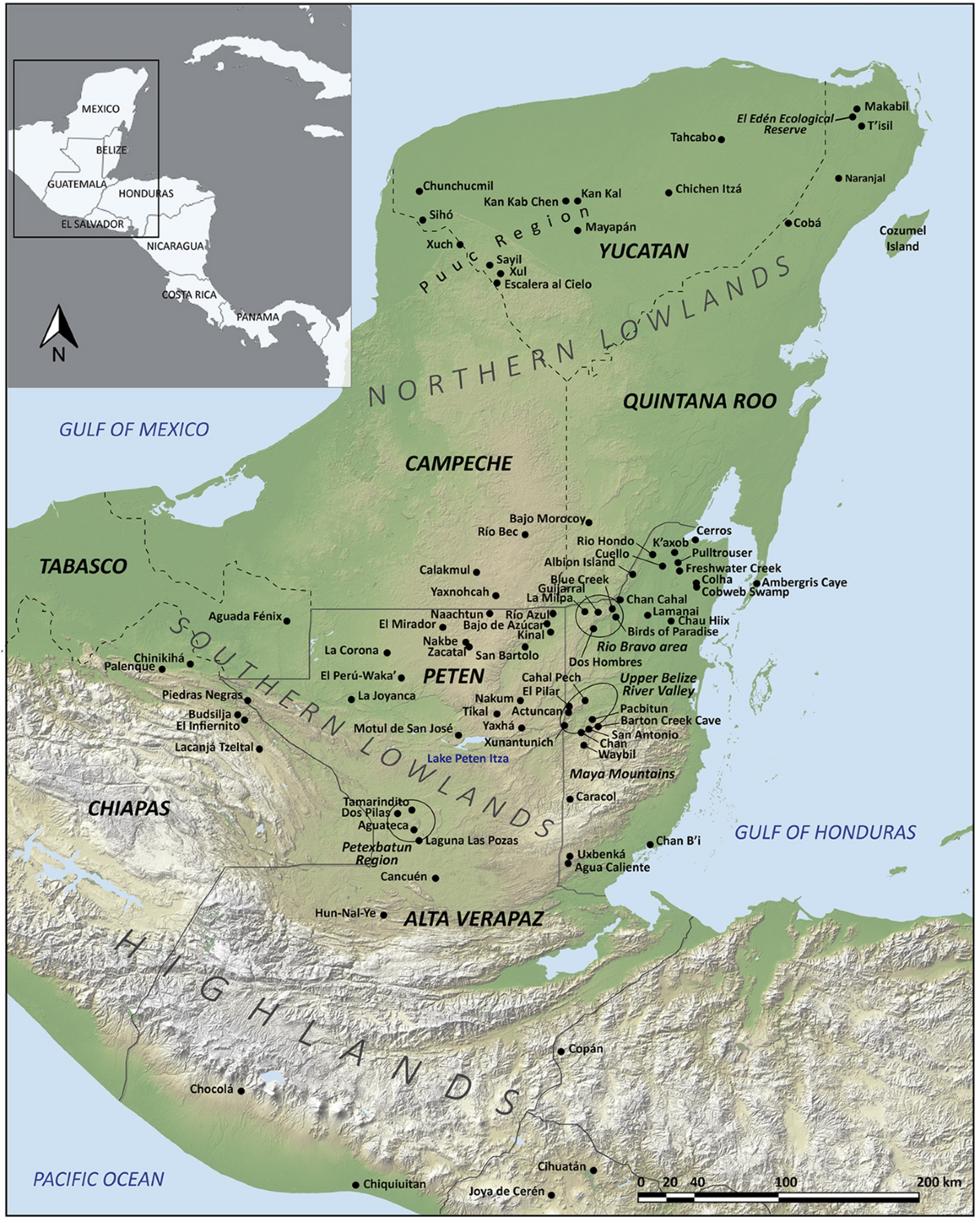 Agriculture in the Ancient Maya Lowlands (Part 1): Paleoethnobotanical  Residues and New Perspectives on Plant Management | Journal of  Archaeological Research