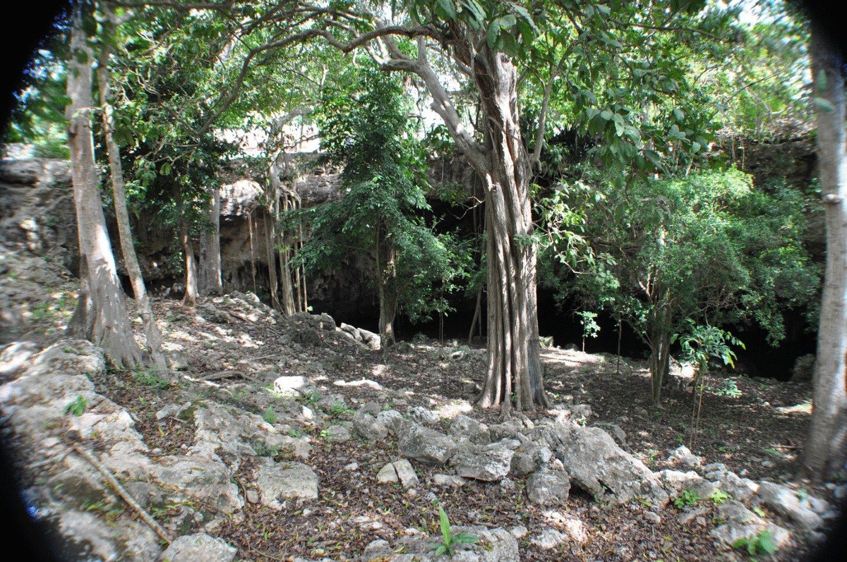 Sinkhole Microcosms: Understanding Persistence of Place Through Variable  Cultivation Strategies in Northeastern Yucatán, Mexico | Journal of  Archaeological Method and Theory, image size:1200x797