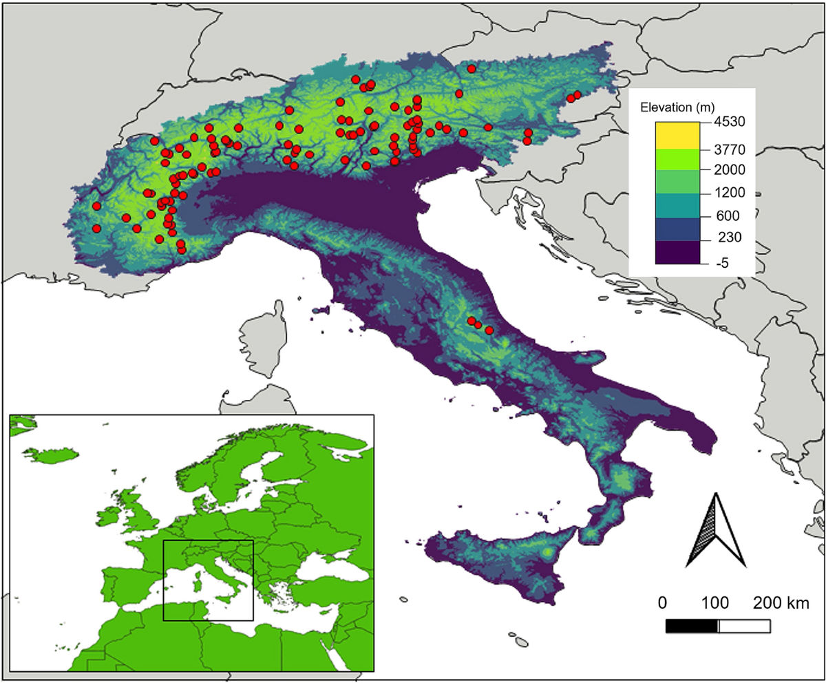 RESTAURANTS AND FOOD, image size:1200x992