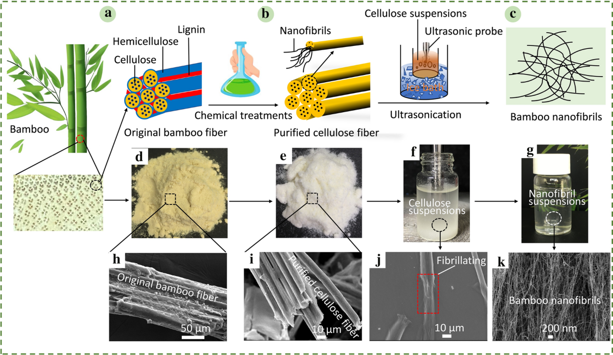 Green preparation of silk fibroin/bamboo-derived cellulose nanofibril  nanocomposite films with high mechanical strength | Journal of Materials  Science | Springer Nature Link