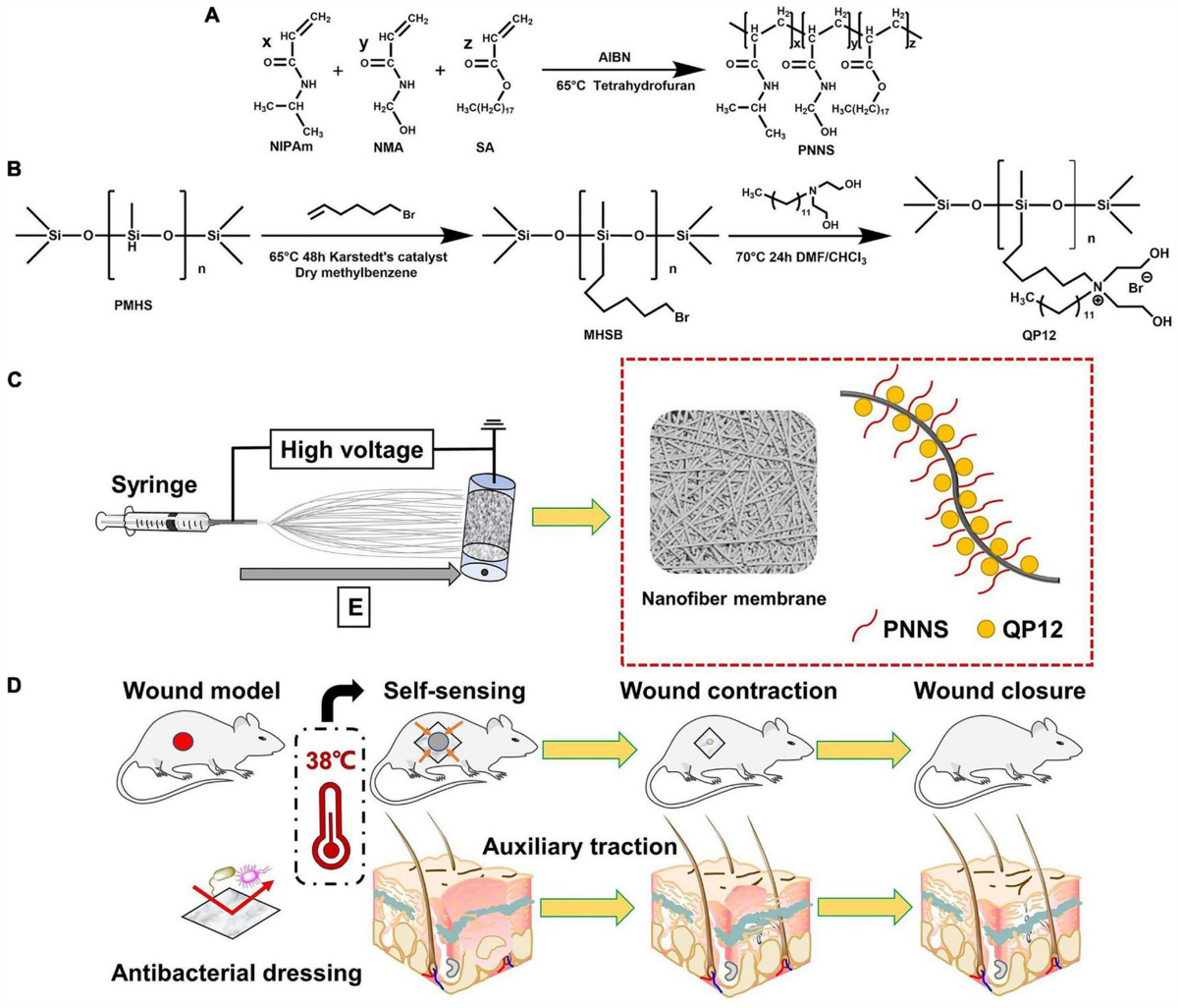 Bioactive antimicrobial polymer membranes: synthesis, characterization, and  their applications in various sectors | Journal of Materials Science