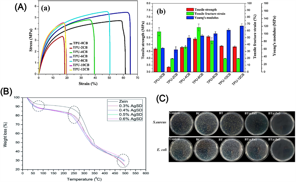 Bioactive antimicrobial polymer membranes: synthesis, characterization, and  their applications in various sectors | Journal of Materials Science