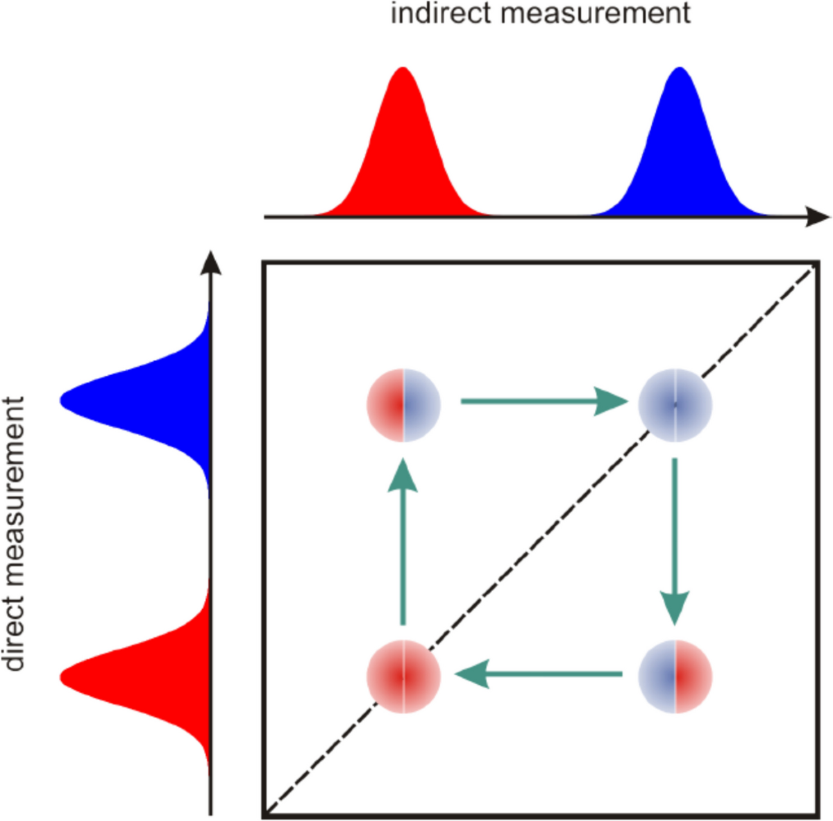 Assessment of bone tissue cytoarchitectonics by 2D 1H NMR relaxometry maps  | Journal of Biological Physics, image size:1200x1182