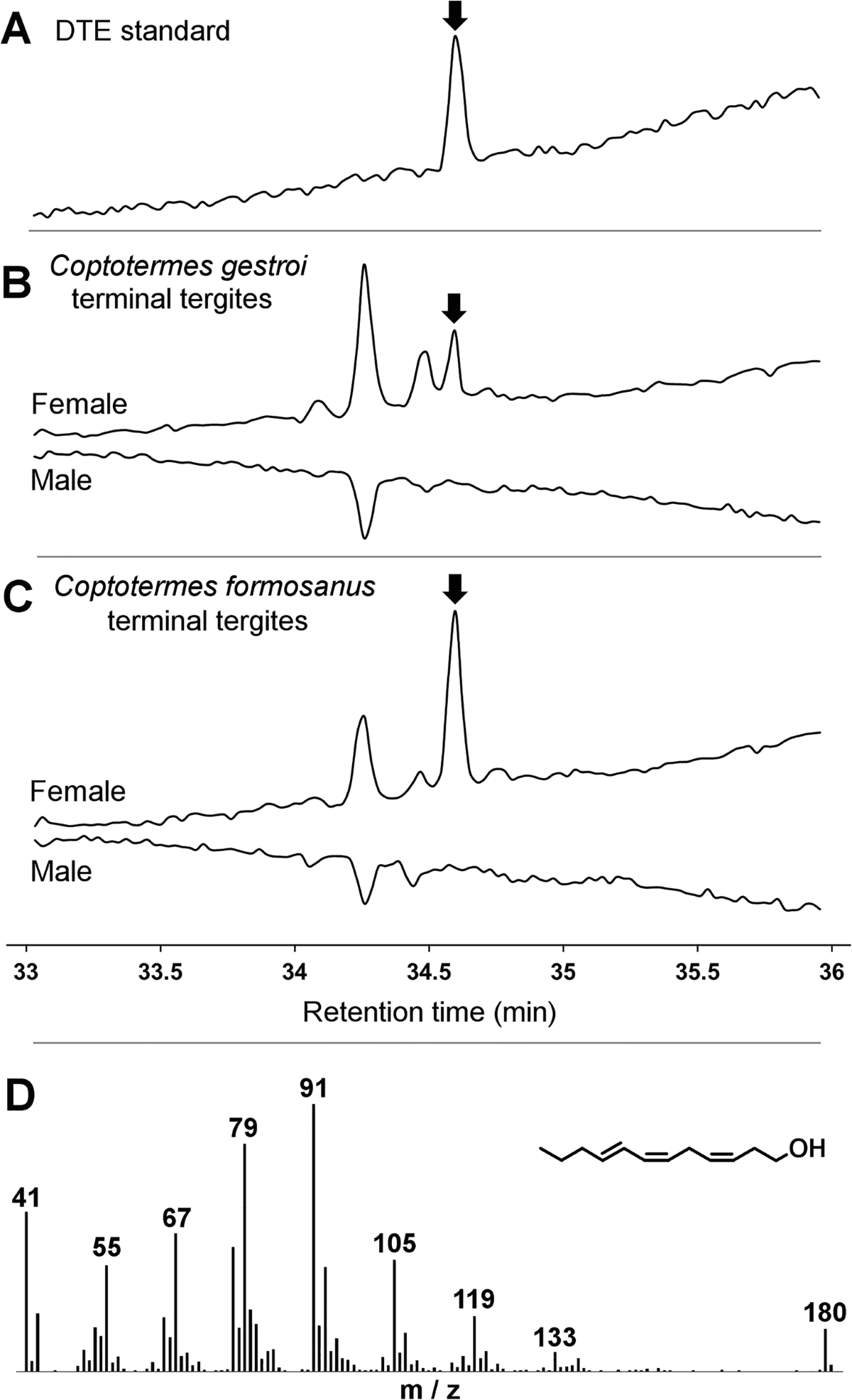 Courtship Behavior Confusion in Two Subterranean Termite Species that  Evolved in Allopatry (Blattodea, Rhinotermitidae, Coptotermes) | Journal of  Chemical Ecology