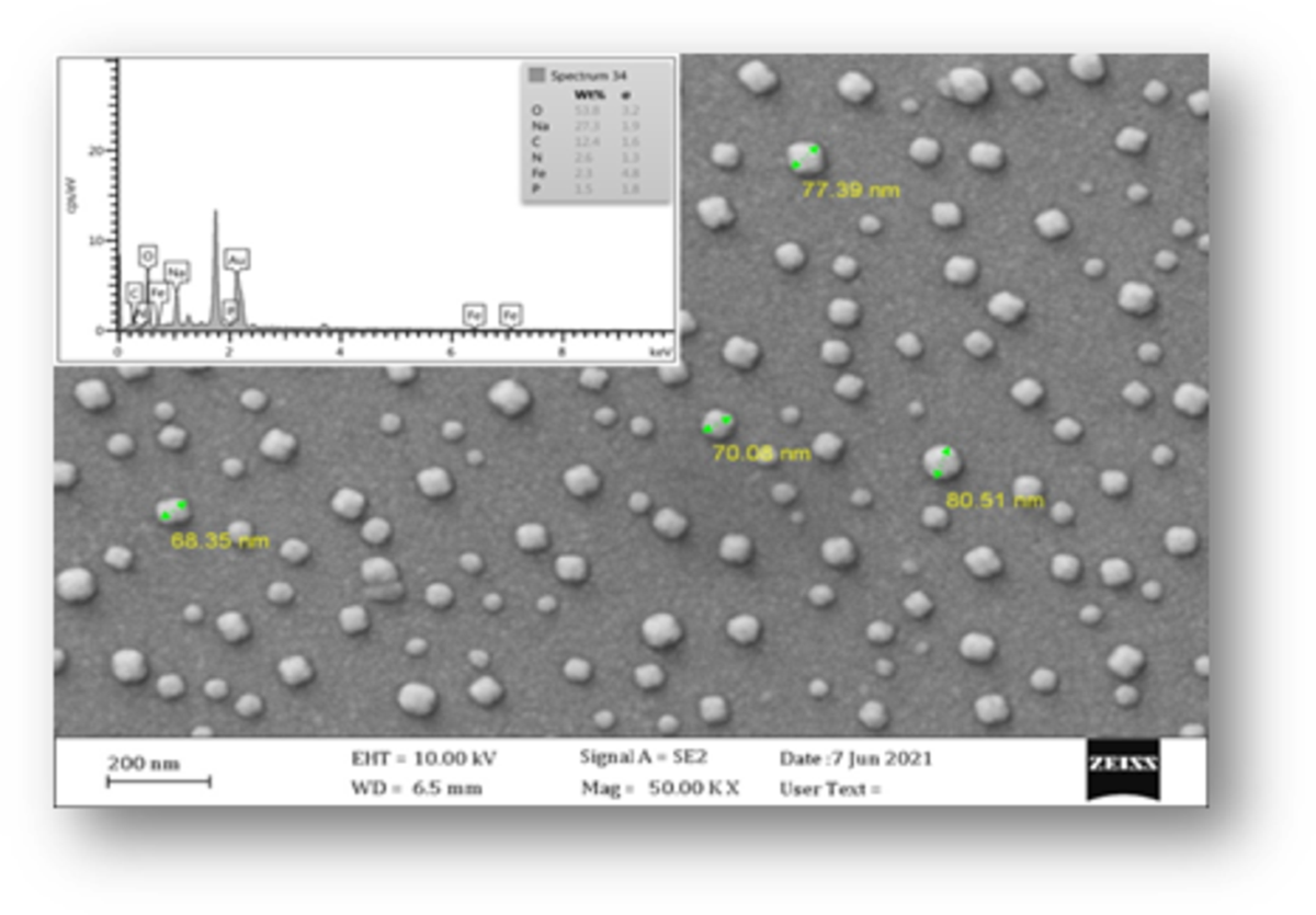 Investigation of pH and Temperature Changes on the Biomimetic Synthesis of  Iron Oxide Magnetic Nanoparticles from the Bacterial Source of Bacillus  Megatrium | Journal of Inorganic and Organometallic Polymers and Materials