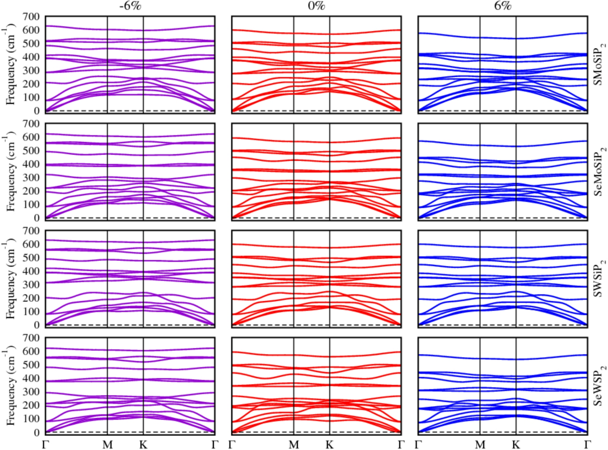 First-Principles Investigation of Phononic, Electronic, Optical, and  Thermoelectric Properties of ABSiP2(A = S, Se and B = Mo, W) Monolayers |  Journal of Inorganic and Organometallic Polymers and Materials