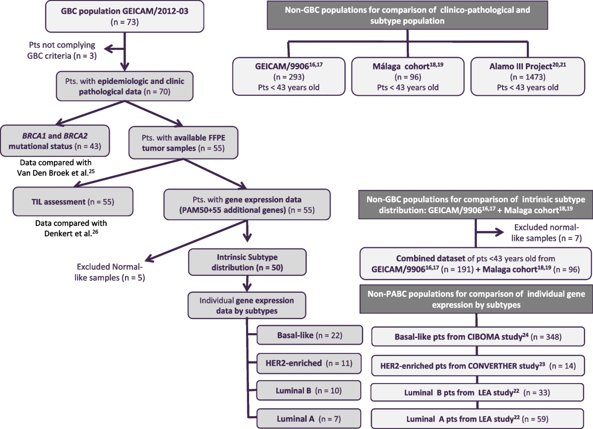 Gestational breast cancer: distinctive molecular and  clinico-epidemiological features | Journal of Mammary Gland Biology and  Neoplasia | Springer Nature Link