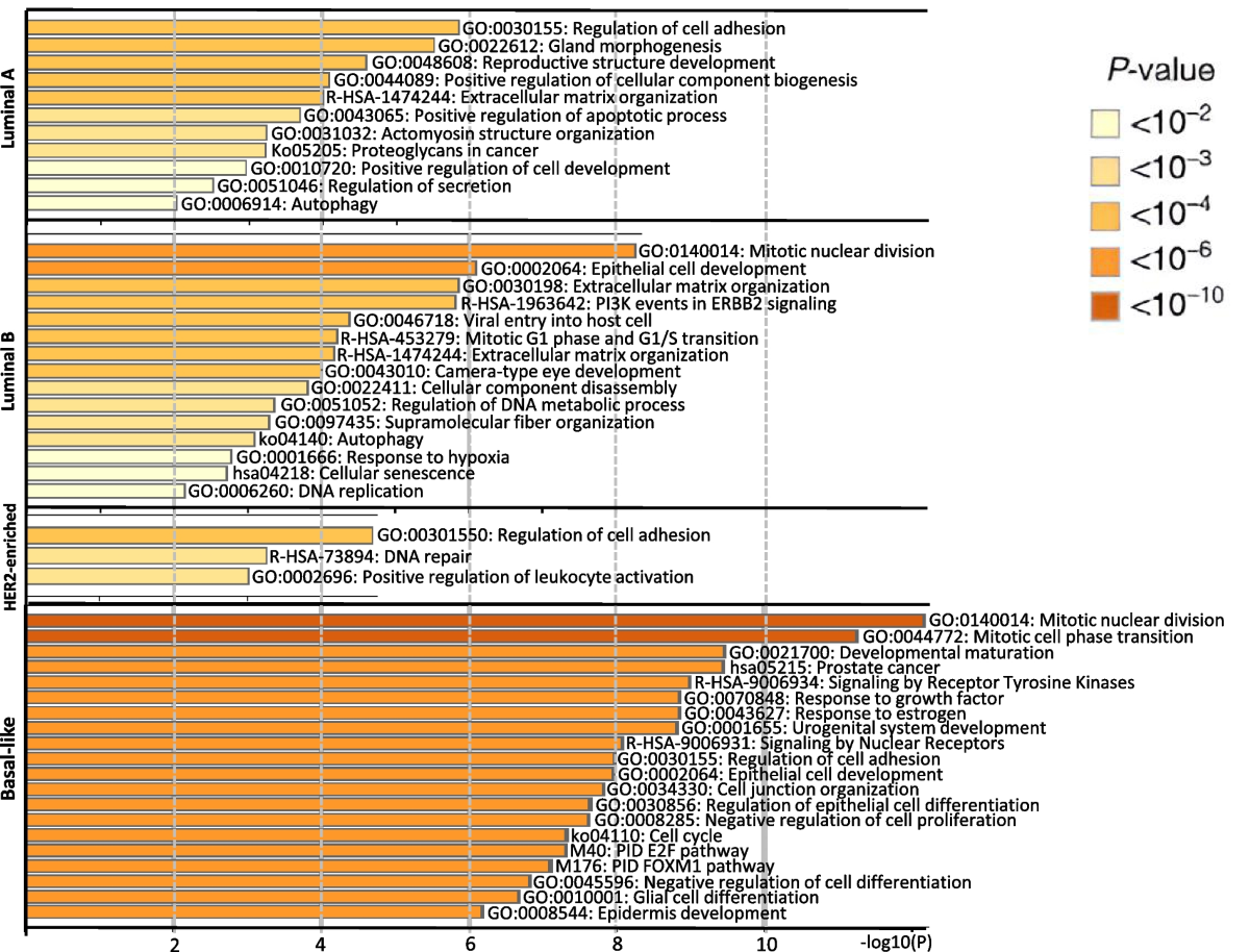 Gestational breast cancer: distinctive molecular and  clinico-epidemiological features | Journal of Mammary Gland Biology and  Neoplasia | Springer Nature Link
