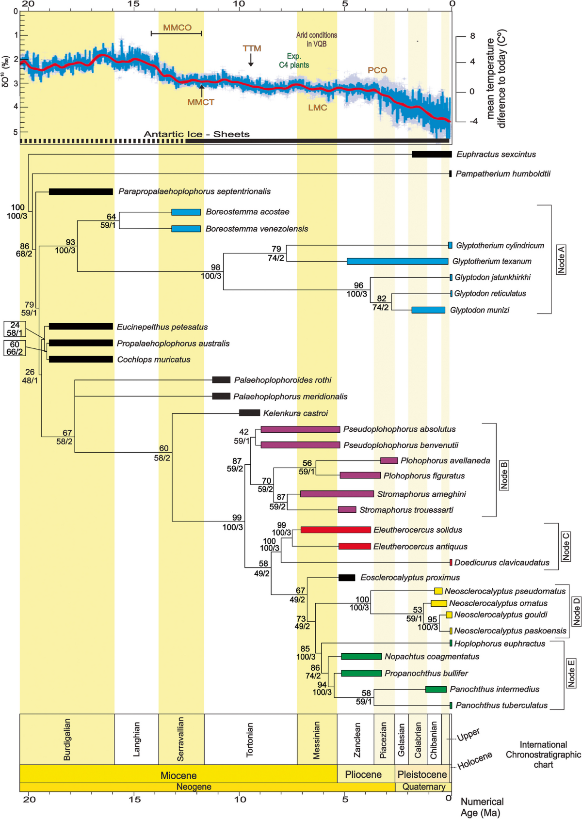 Biologia, image size:1200x1690