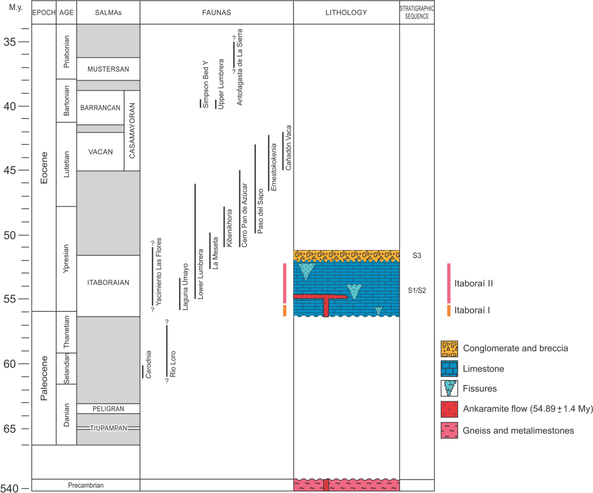 Revisiting old data to unveil the history and age of the Itaboraí Basin  fossil mammals | Journal of Mammalian Evolution, image size:1200x999