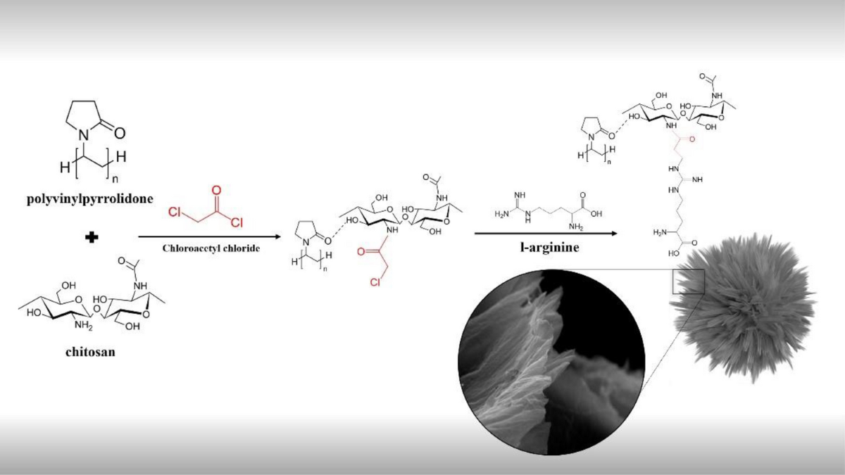 L-Arginine-Functionalized Chitosan/Poly(Vinylpyrrolidone) Composite as a  Novel Adsorbent for Efficient Removal of Hg (II) and Amoxicillin from  Aqueous Medium | Journal of Polymers and the Environment