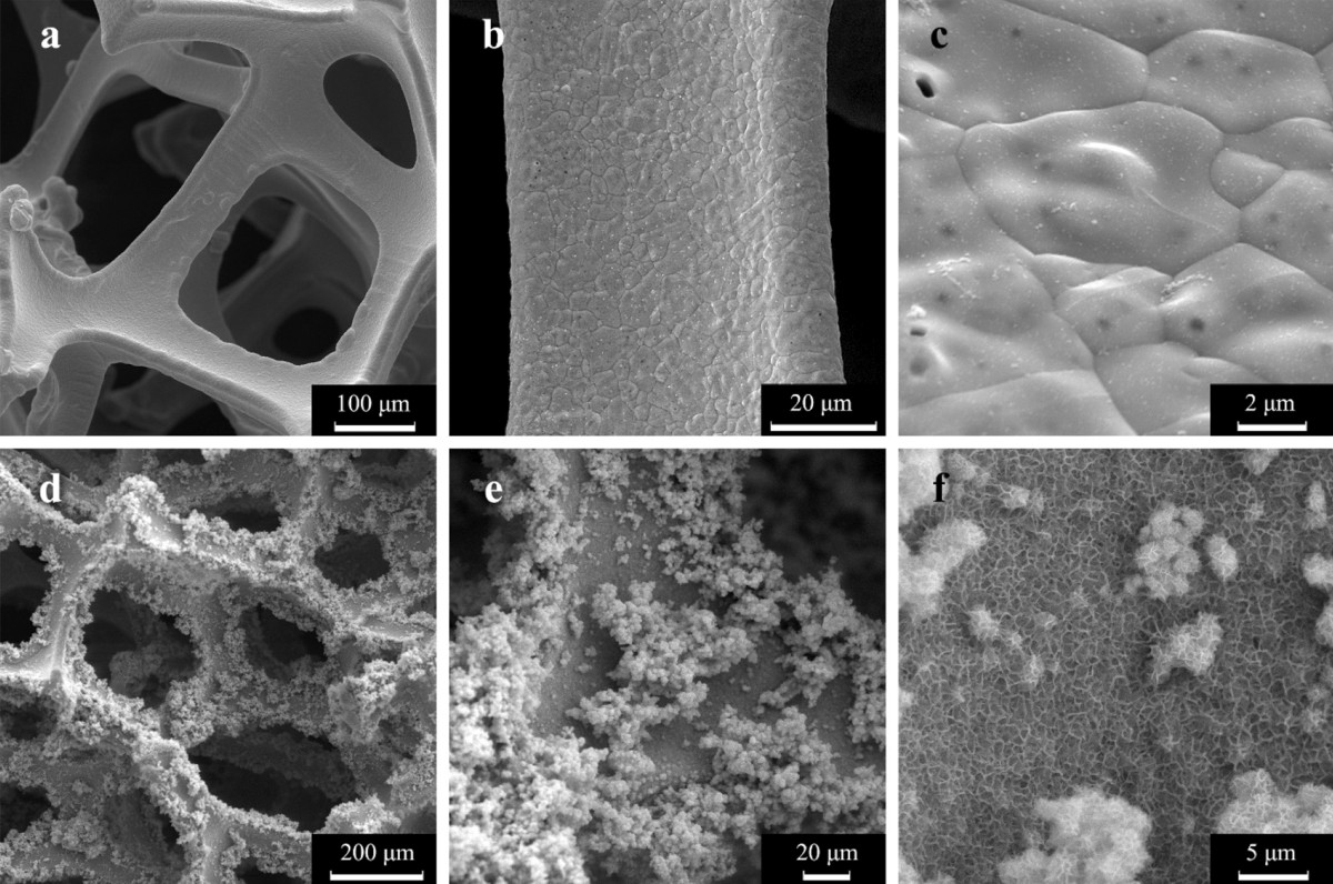 Efficient urea electrochemical oxidation using Ag-decorated NiO nanowalls  grown on nickel foam substrate | Journal of Porous Materials