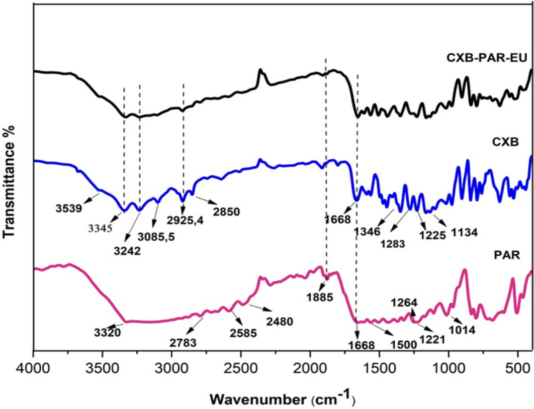 Synthesis, Characterization, Solubility Enhancement and DFT Calculations of  Celecoxib/Paracetamol Eutectic Mixture | Journal of Solution Chemistry |  Springer Nature Link