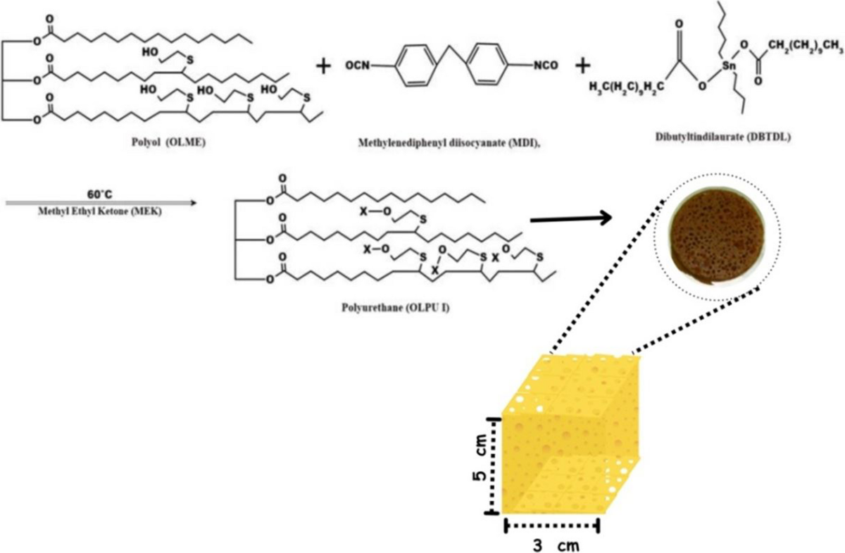 Synthesis and characterization of bio based polyurethane from Olive seed  using thiolene photo click reaction | Journal of Polymer Research, image size:1200x785