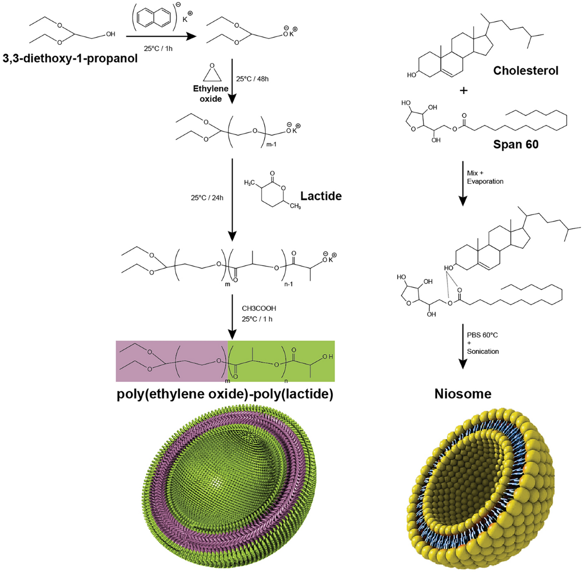 Glutathione Encapsulation in Core-Shell Drug Nanocarriers (Polymersomes and  Niosomes) Prevents Advanced Glycation End-products Toxicities |  International Journal of Peptide Research and Therapeutics | Springer  Nature Link