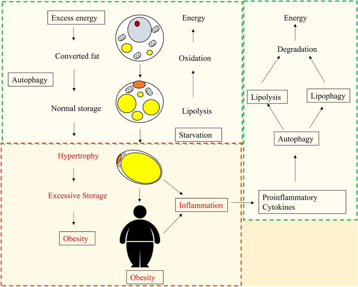 atp glutathione injections for cfids Can Reduced Glutathione Support Detoxification and Energy in Long COVID and  ME/CFS?