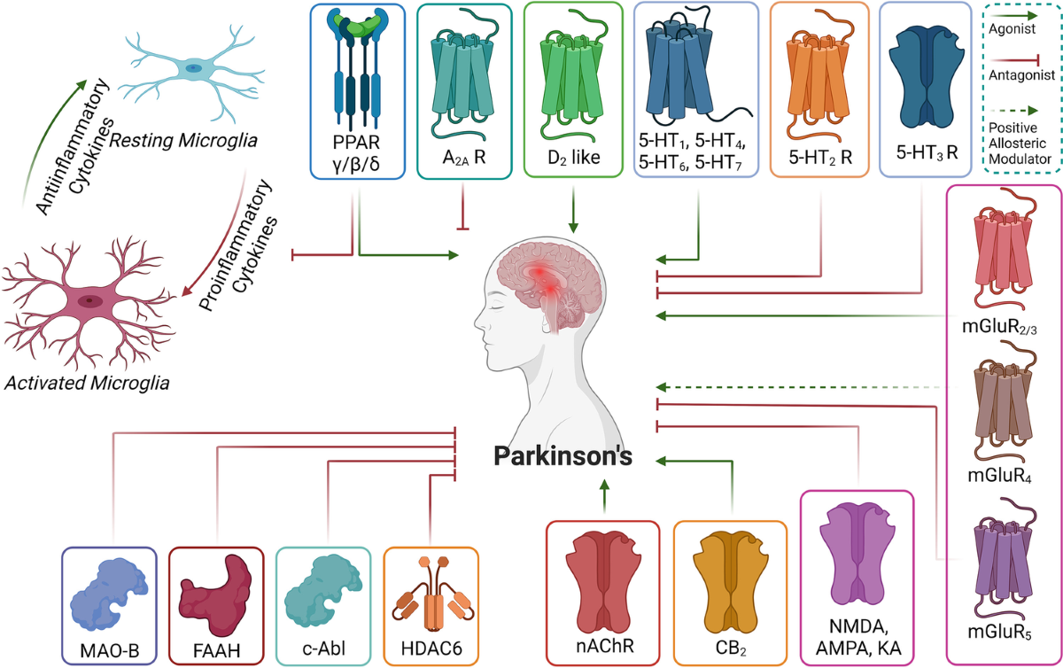 dr perlmutter parkinsons treatment glutathione Central nervous system uptake of intranasal in Parkinson's disease Frontiers | The Therapeutic Potential