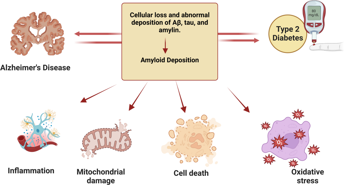 how long will it take for semaglutide to work How long does it take for Semaglutide to work?