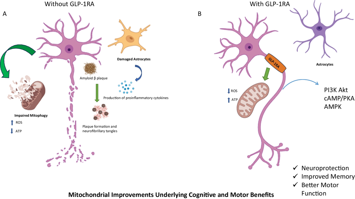 glp-1 medications dizziness side effect GLP-1: The Diabetes Drug Changing How We Think About Weight Loss