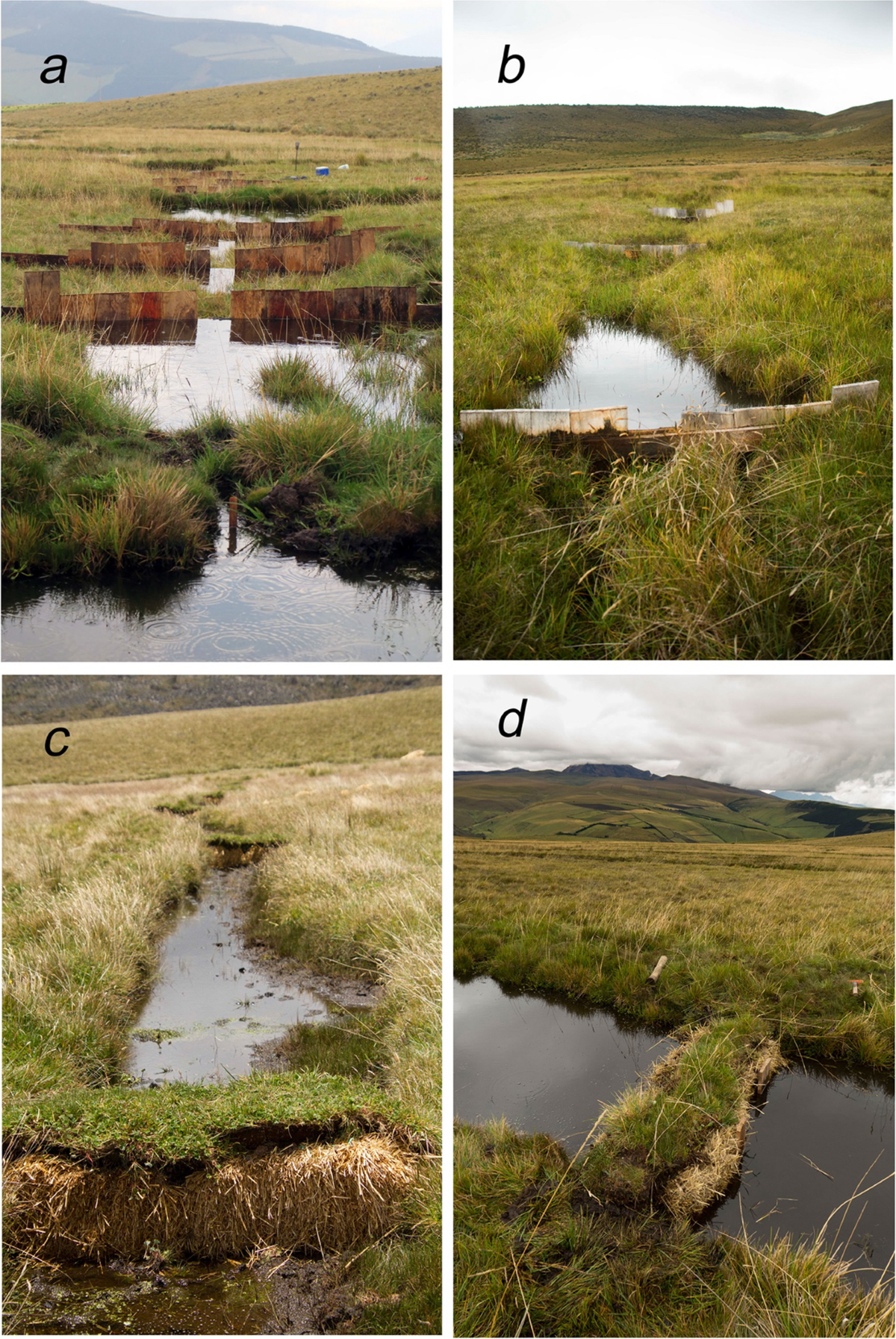 Cataki (@catakiapp) • Instagram photos and videos, image size:1200x1792