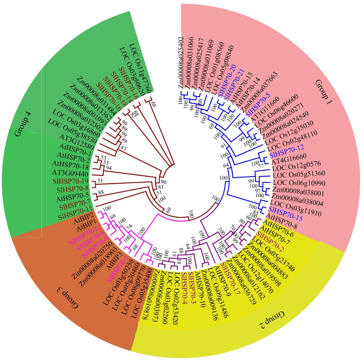 Romanbeb | PDF | South Asia | Nepal, image size:1200x1189