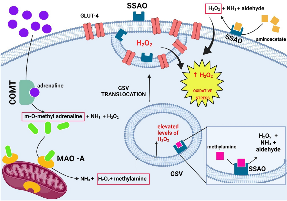 is glutathione testing routine like cholesterol or vitamin d Glutathione: Benefits and Supplements