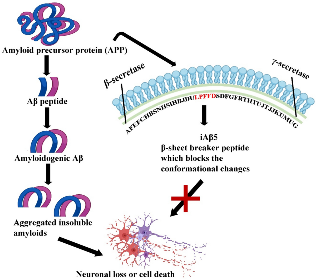 A review on current theories and potential therapies for prion diseases |  Molecular Biology Reports | Springer Nature Link