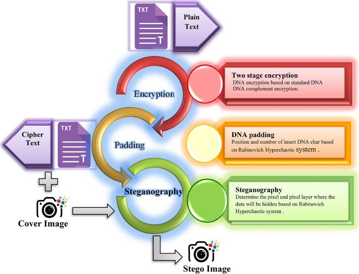 Multi level of encryption and steganography depending on Rabinovich  Hyperchaotic System & DNA | Multimedia Tools and Applications | Springer  Nature Link