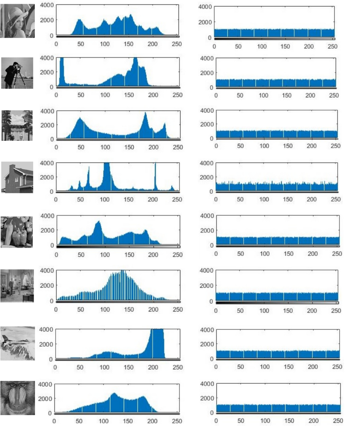 A novel approach to fast image encryption: Josephus Ring, DNA sequence, and  chaotic function | Multimedia Tools and Applications | Springer Nature Link