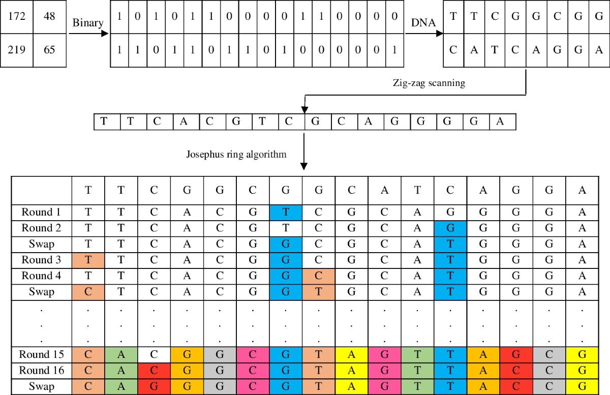 A novel approach to fast image encryption: Josephus Ring, DNA sequence, and  chaotic function | Multimedia Tools and Applications | Springer Nature Link
